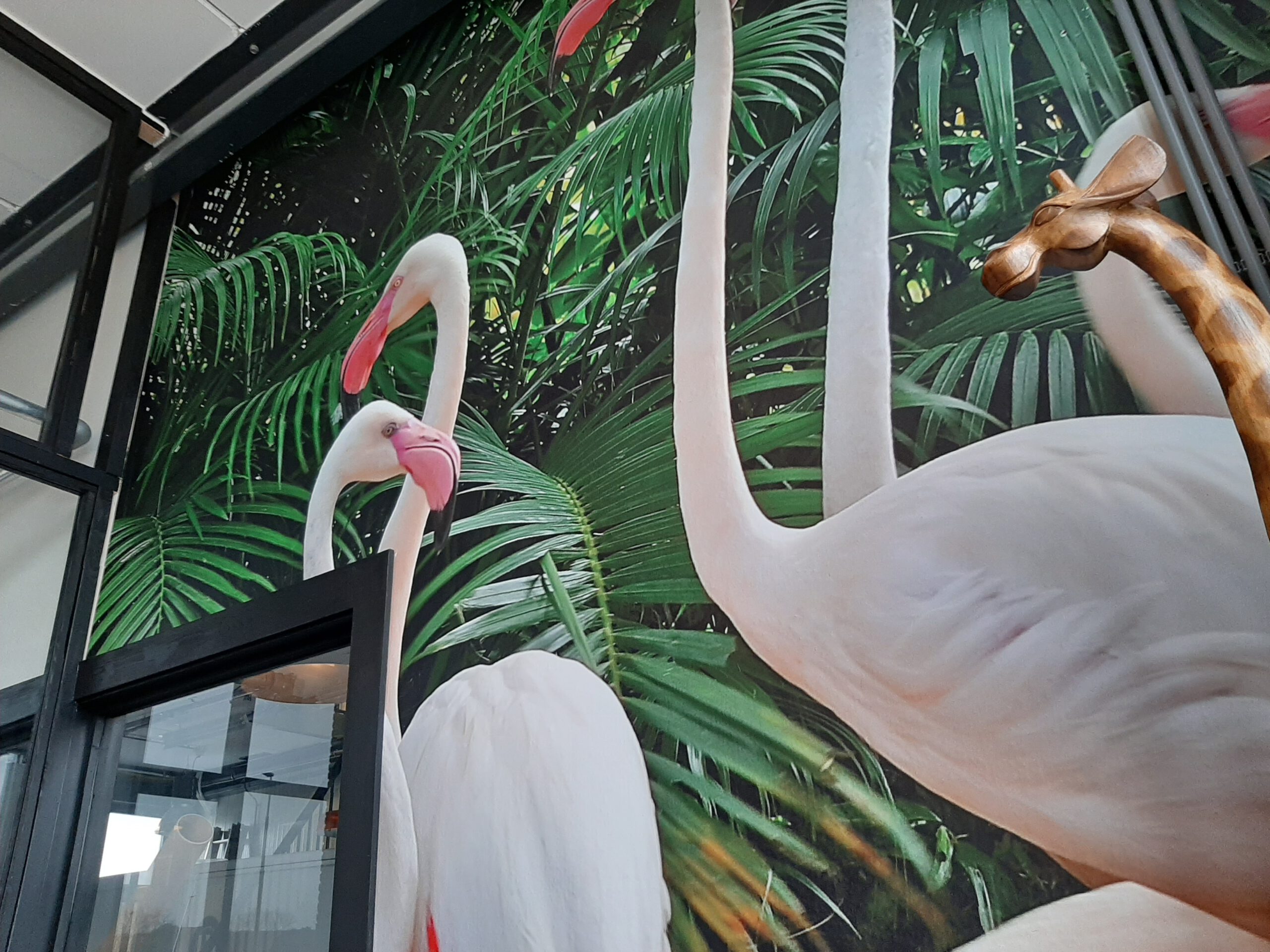 Fotobehang flamingo's